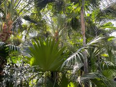 -国家植物园南园