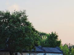 -北坞公园