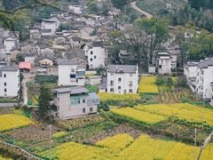 -石潭村