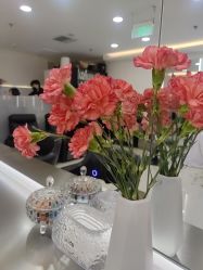 -HaLo hair studio