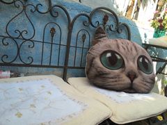 -海边的猫和咖啡馆