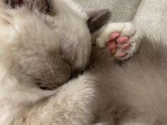 -FULL MOON满月咖啡