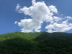 -大连天门山国家森林公园