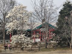 -国家植物园南园