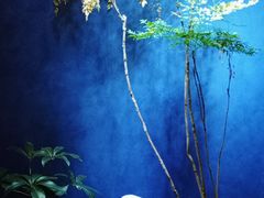 -双湖宴·湖北菜(文化路店)