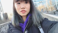 -大象造型