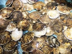 -渔民新村(番禺总店)