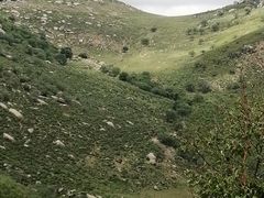 -克什克腾世界地质公园青山景区