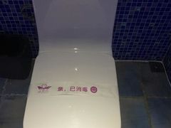 -天鹅恋
