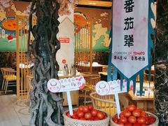 -番茄犟汤锅(东坝店)