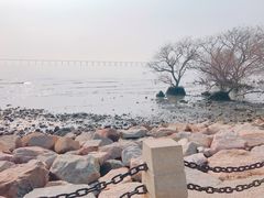 -宝安西湾红树林湿地公园