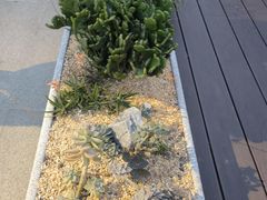 -静颐茶馆·素食(龙华店)