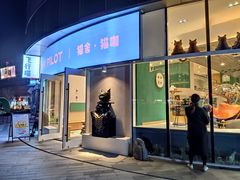 门面-飞行喵MR PILOT|猫舍·猫咖(静安大融城店)