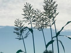 -林间山庄