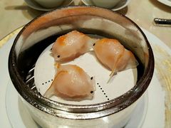 -8餐厅(新葡京酒店)