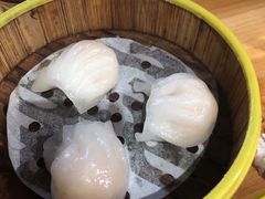 -肥佬夜茶(早茶·西乡店)