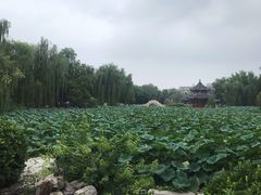 -莲池书院博物馆