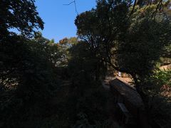 -杨家堂村