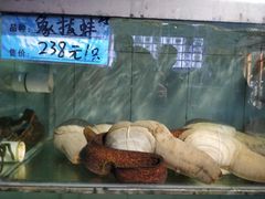 -天鹰观渔(梦园店)