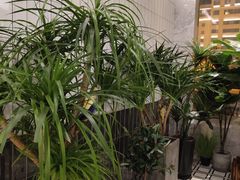 -泽西岛·影院沐足SPA(西大街店)