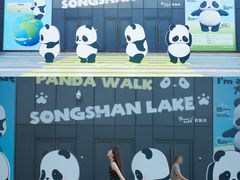 -东莞松山湖万象汇