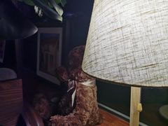 -咖法森林·咖啡  酒吧(天河店)