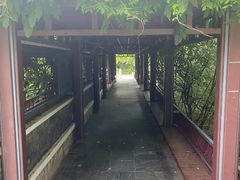 -北坞公园