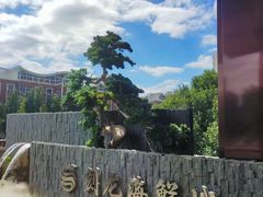 -龙宴海鲜城(经中路店)