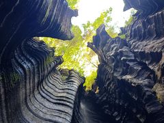 -梭布垭石林景区