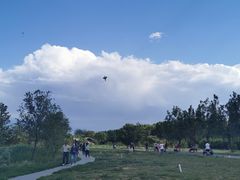 -永定河休闲森林公园