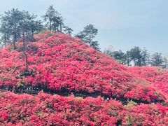 -木兰云雾山
