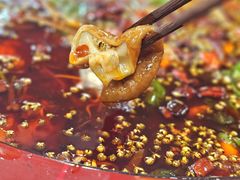 -烧哥美蛙肥肠鱼火锅·十五年社区店