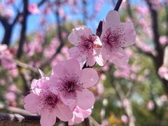 -徐家汇公园