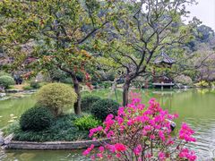 -云溪植物园