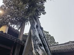 -太平天国侍王府