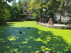 -荆州中山公园动物园