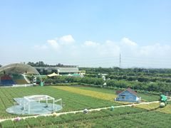 -广州花之恋城堡酒店