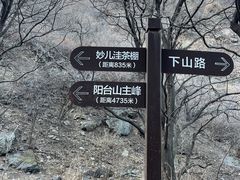 -阳台山自然风景区