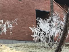 -清华大学-清芬园