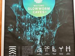 -怀托摩萤火虫洞