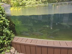 -洋湖国家湿地公园