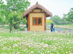 -良渚古城遗址公园