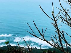 -海南铜鼓岭景区