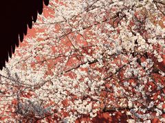 -钱王祠