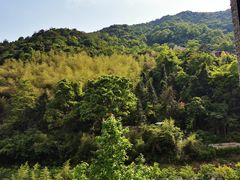 -宁海安岚·南溪阁全日餐厅