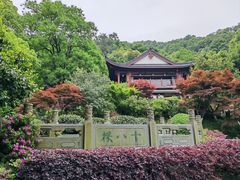 -十八棵（老龙井）御茶园(老龙井店)