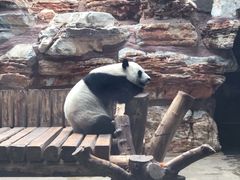 -石家庄市动物园