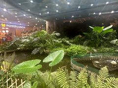 -凯德广场(学府店)