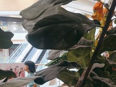 -卡朋西餐(大信新都汇店)
