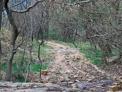 -虞山风景区